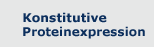 Constitutive Protein Expression